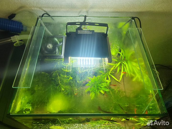 Аквариум 38 литров, термо регулятор, фильтр, декор