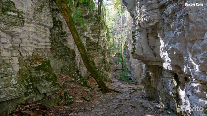 Джип-тур каньон Псахо