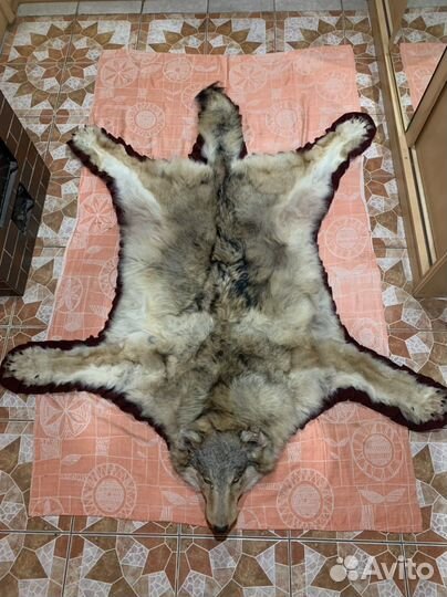 Волчья шкура