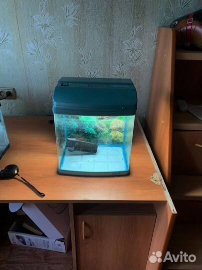 Аквариум
