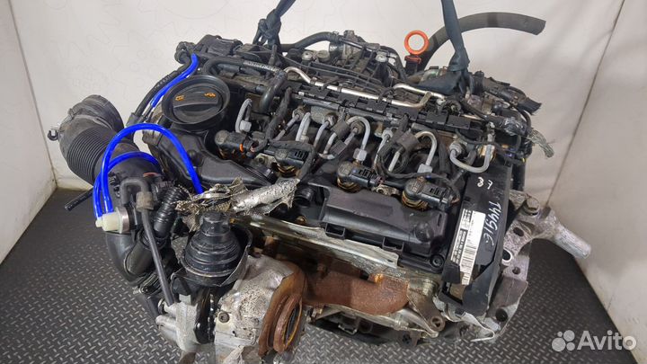 Двигатель Volkswagen Golf 6 cayc 1.6 Дизель, 2009