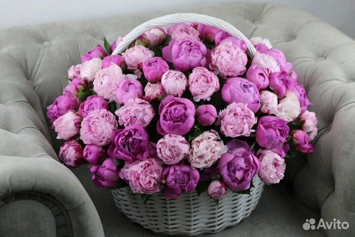 Пионы букет цветы