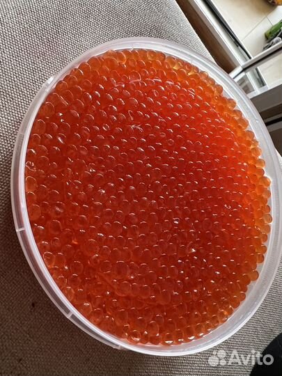 Свежая, настоящая, красная икра