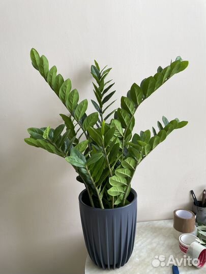 Искусственное дерево искусственные цветы