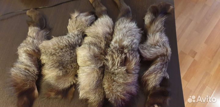 Шкурки чернобурки