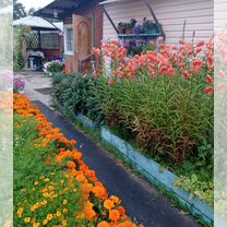 Дача 45 м² на участке 10 сот.