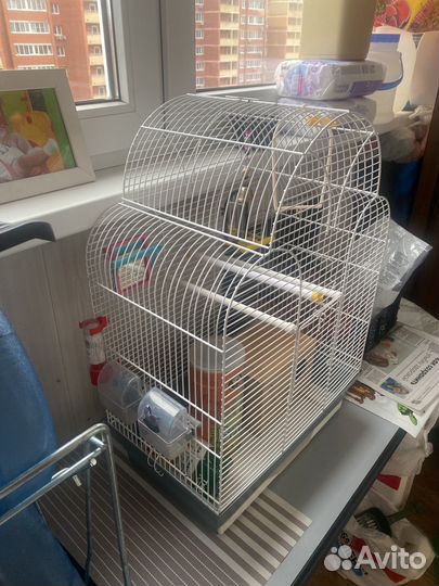 Клетка для попугая