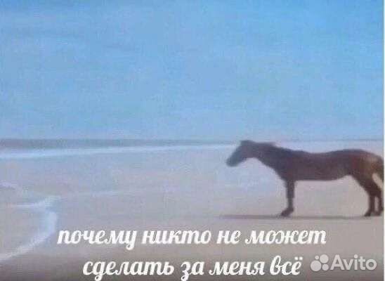 Сборник мемов