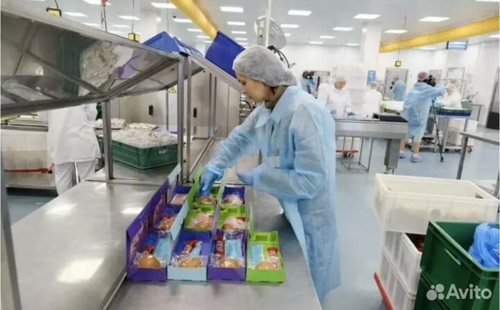 Упаковщик борт. Питания - Вахта 15/15 в Москве