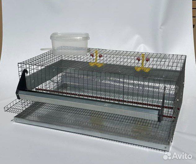 Клетки для перепелов