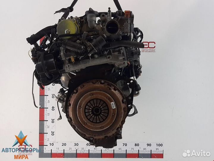 Форсунка Opel Insignia (A) 2009 55566050