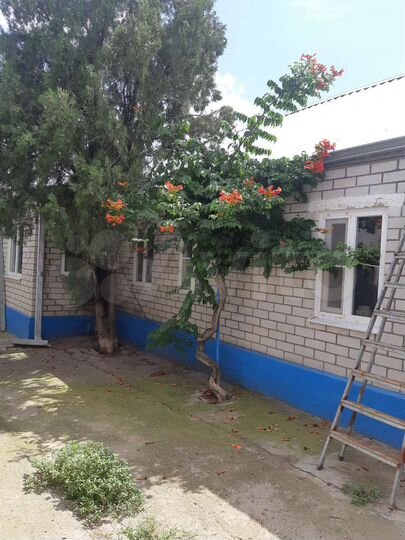 Дом 68 м² на участке 11 сот.