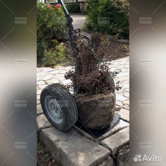 Тачка двухколесная 1000 кг