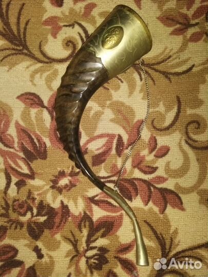 Рог тура. Кизляр