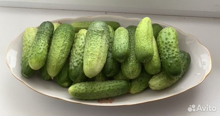 Огурцы свежие-домашние