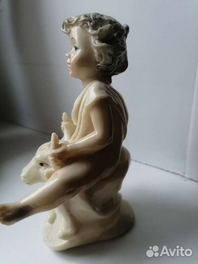 Мальчик на буйвале