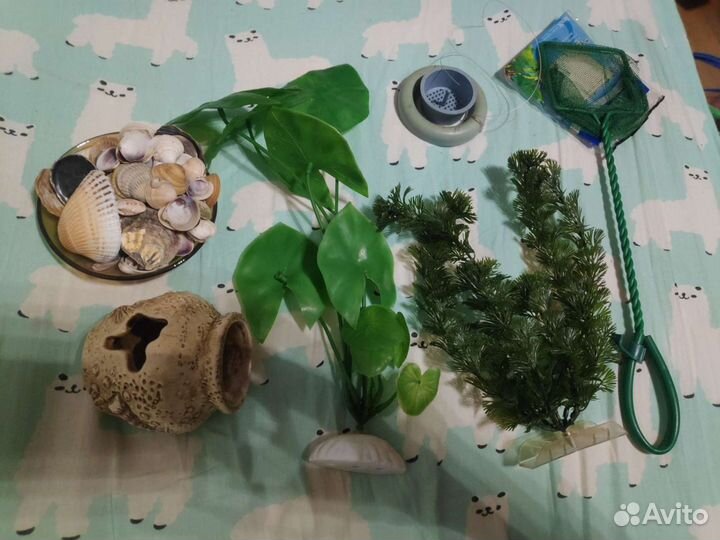 Растения для аквариума