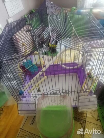 Клетка для волнистого попугая