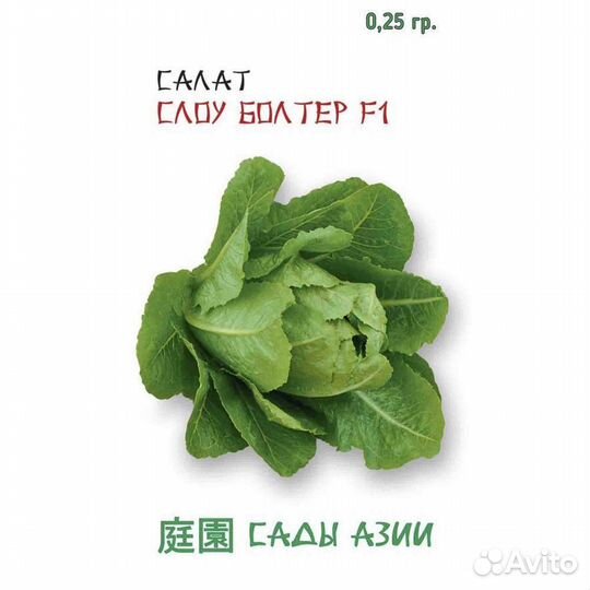 Семена Салат 