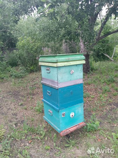 Продам ульи для пчел