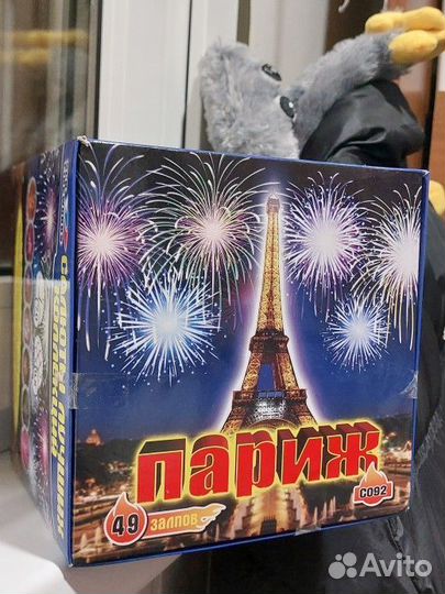 Салют париж 49 залпов