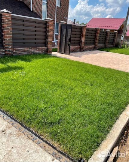 Рулонный газон