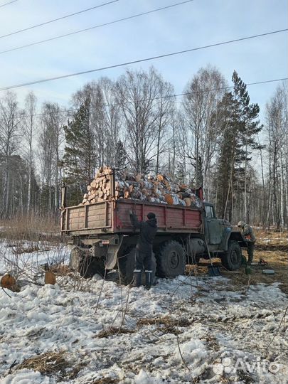 Дрова берёзовые колотые