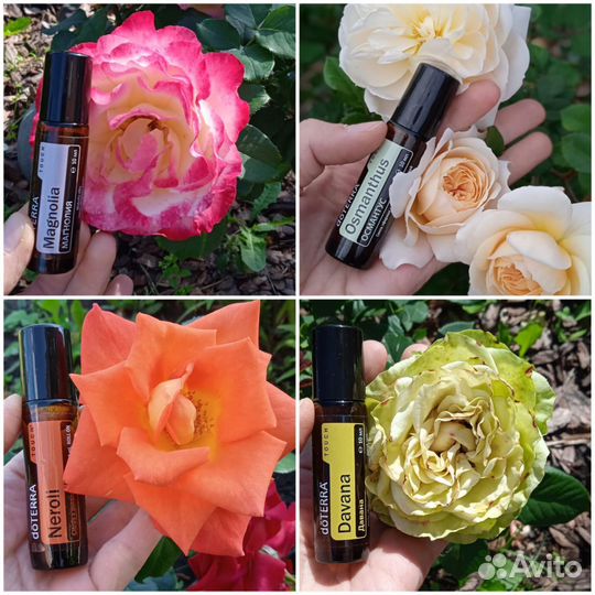 Новые эфирные масла Doterra