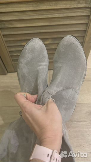 Сапоги ботфорты 36