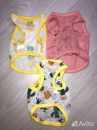 Одежда для маленьких собак