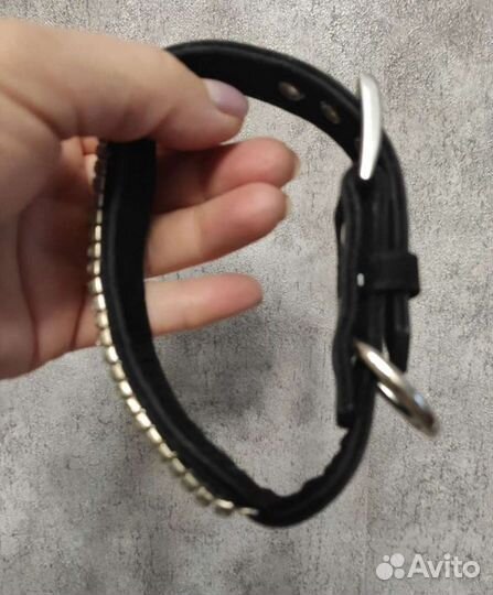 Ошейник для маленькой собаки новый