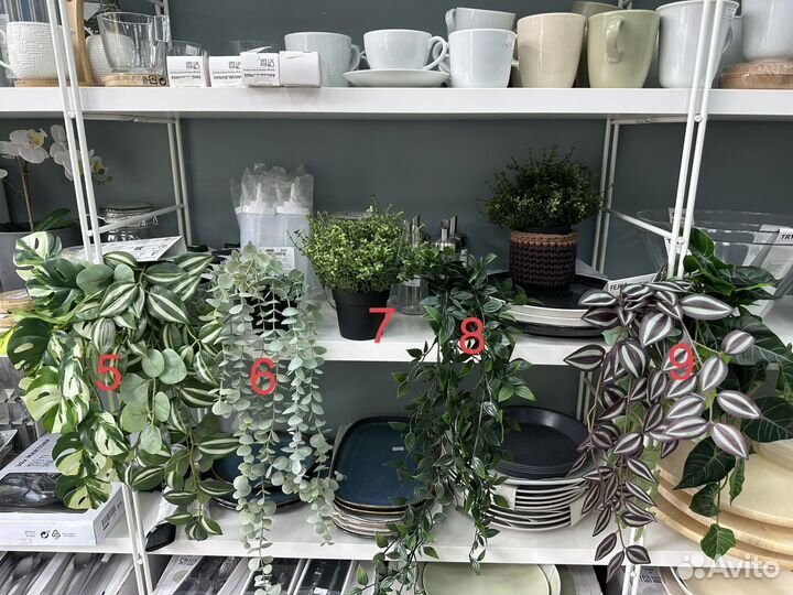 Фейка Икеа искусственные растения