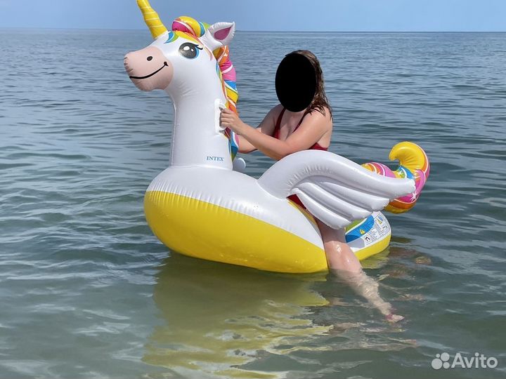 Надувной пегас