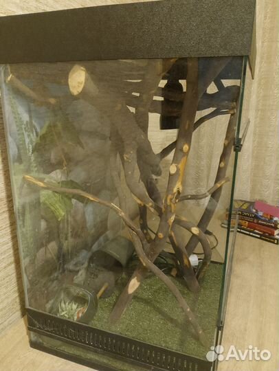Террариум для рептилий бу