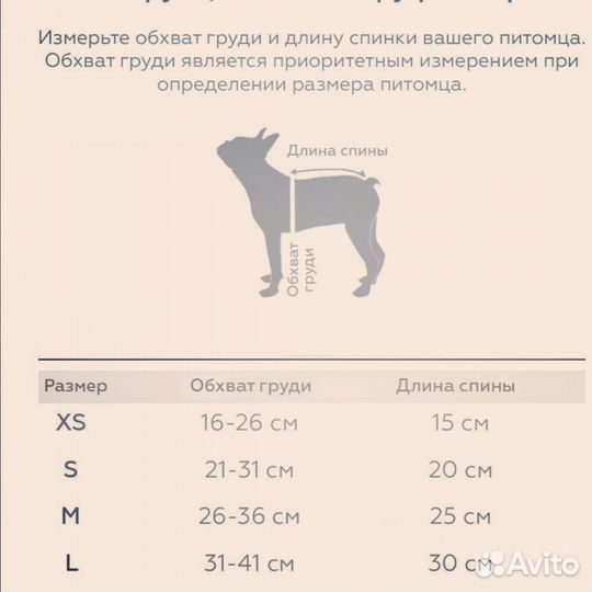 Одежда для маленьких собак и кошек