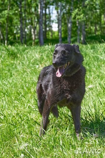 Гита ждет свою семью в приюте
