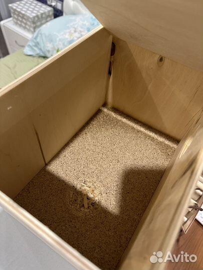 Гнездо для попугаев