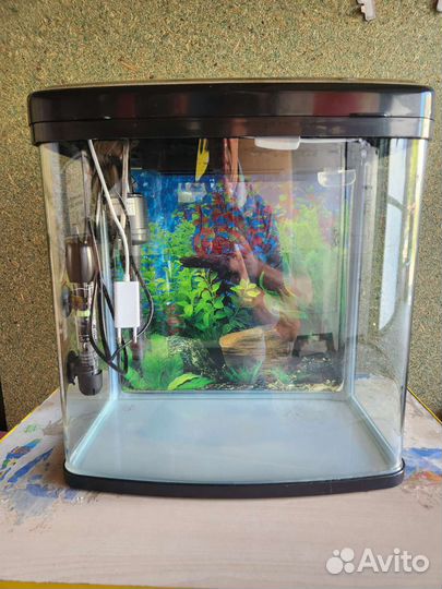 Аквариум