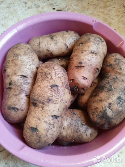 Продукты питания