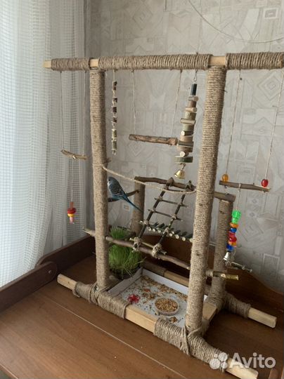 Игровая площадка для попугая