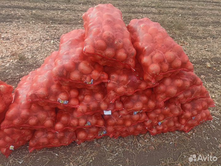 Продам картофель,лук,перец болгарский
