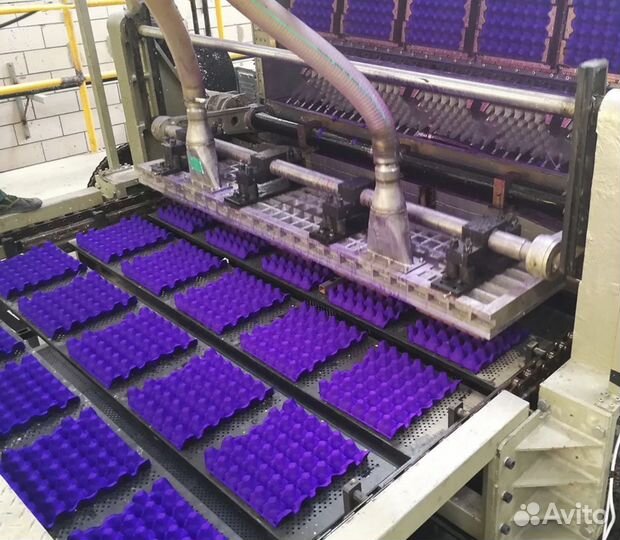 Линия для производства упаковки для яиц