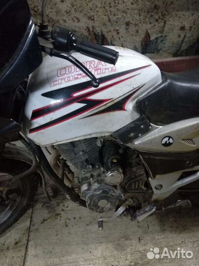 Мото xinling cxm125b cobra