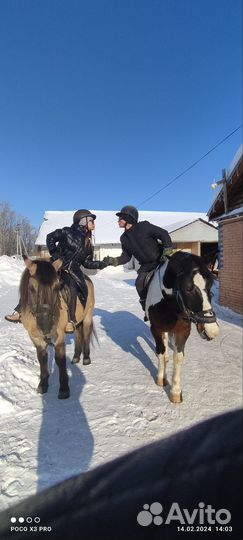 Катание на лошадях - Выезд в Поле