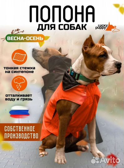 Попона для собак, куртка, комбинезон