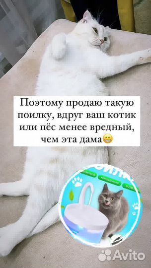 Фонтан поилка для кошек