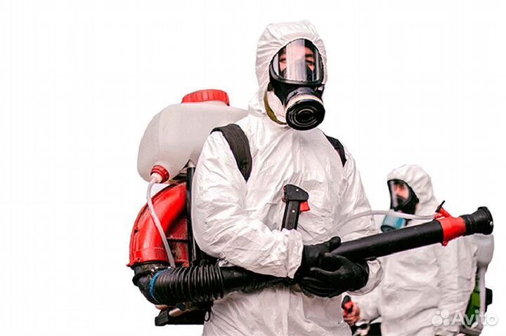 Дезинфектор на своём авто без опыта