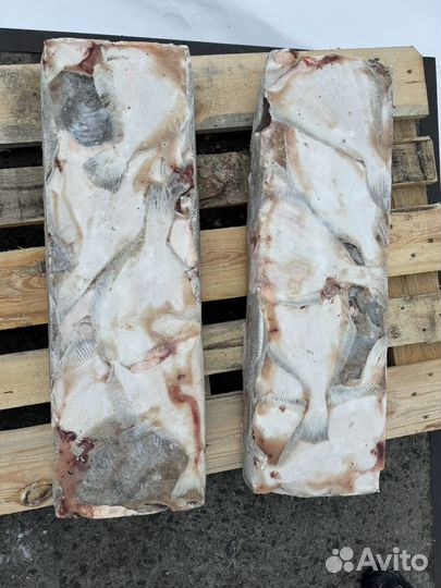 Камбала ерш свежемороженный