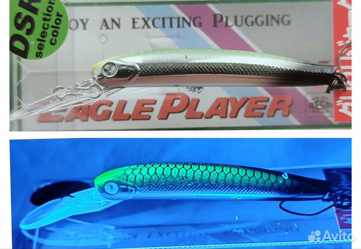 DaySprout Eagle Player 50 Slim / Limited DSR-5 цв