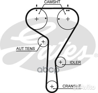 Ремень грм 5680XS Gates